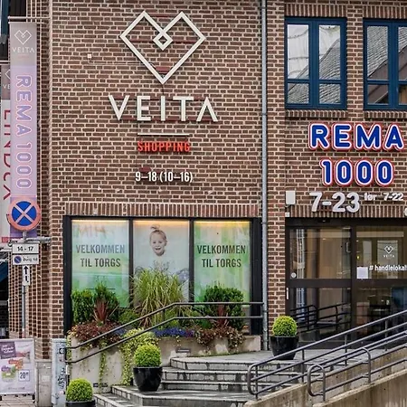 公寓 Spacious Central 特罗姆瑟